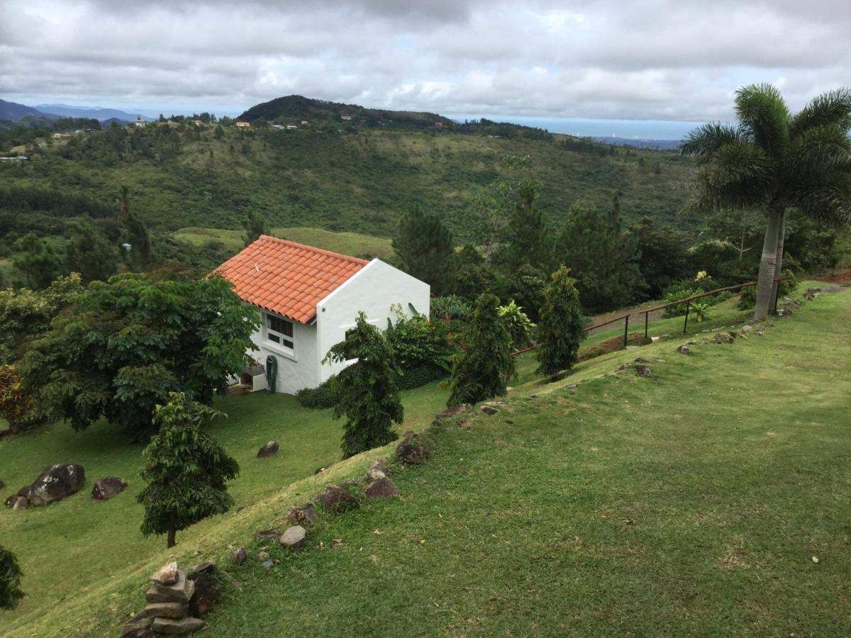 Hawk'S Nest Bed & Breakfast La Laguna de San Carlos Eksteriør bilde