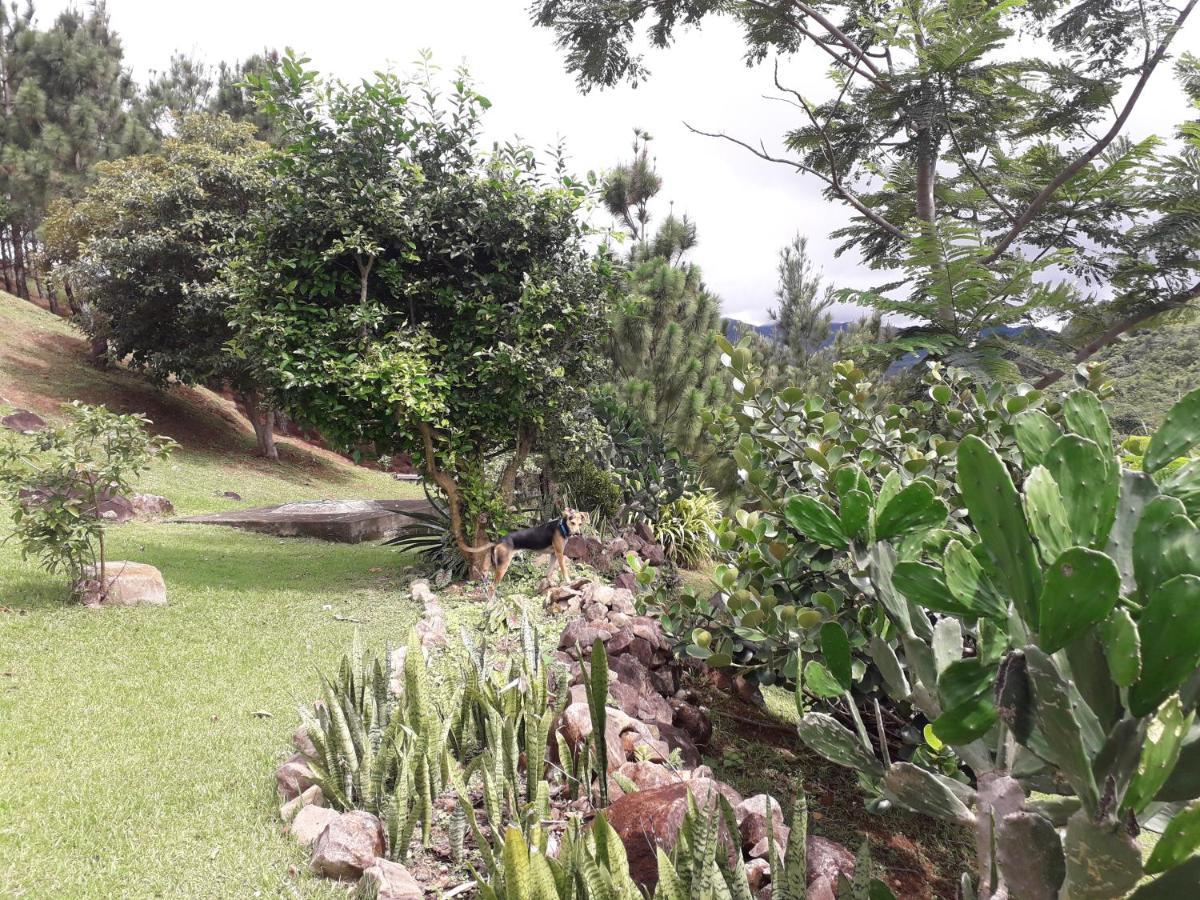 Hawk'S Nest Bed & Breakfast La Laguna de San Carlos Eksteriør bilde