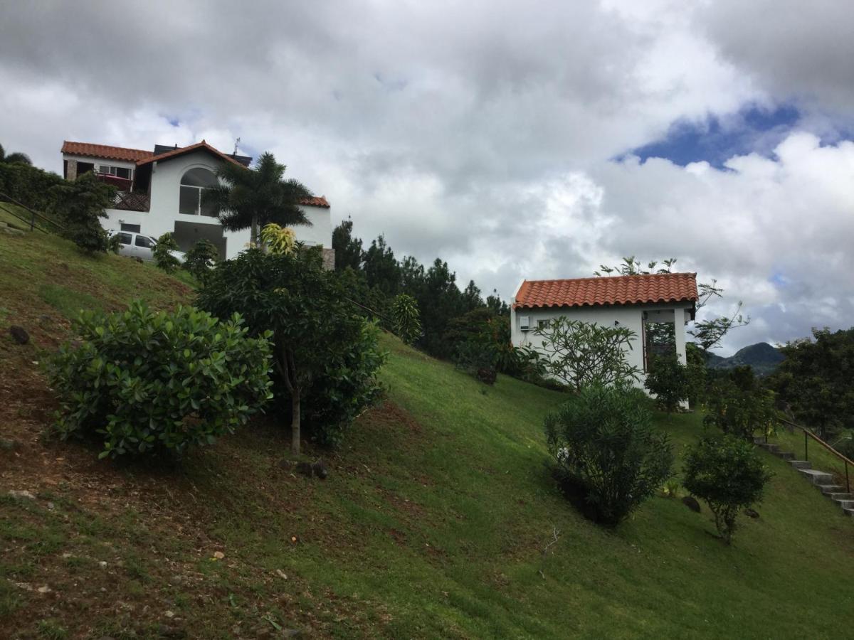 Hawk'S Nest Bed & Breakfast La Laguna de San Carlos Eksteriør bilde