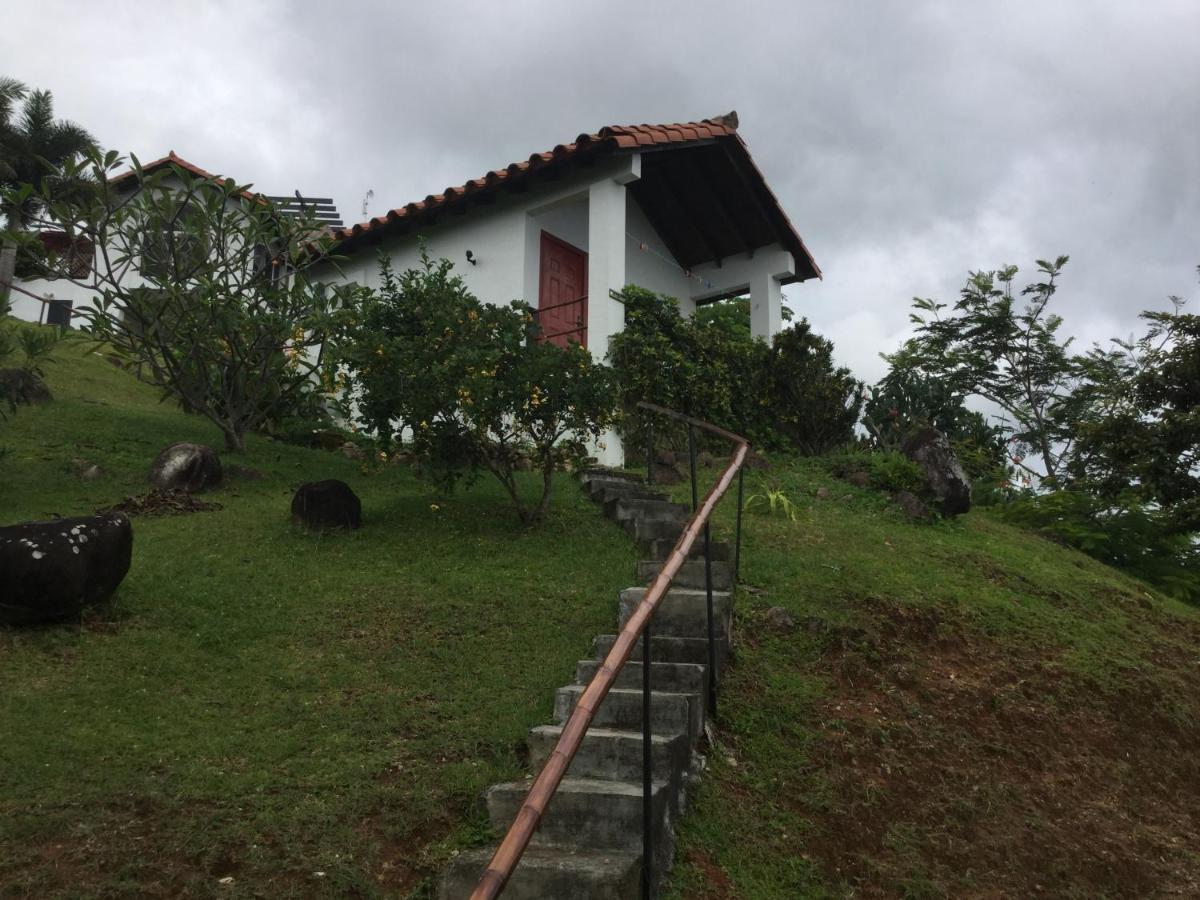 Hawk'S Nest Bed & Breakfast La Laguna de San Carlos Eksteriør bilde