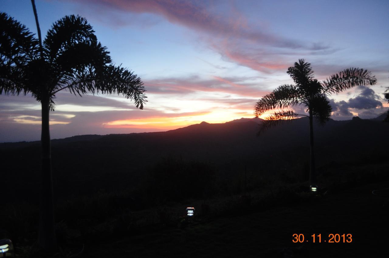 Hawk'S Nest Bed & Breakfast La Laguna de San Carlos Eksteriør bilde